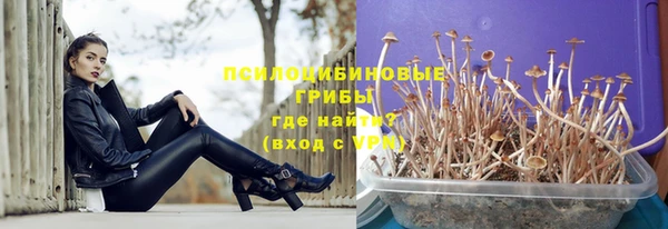 ECSTASY Балахна