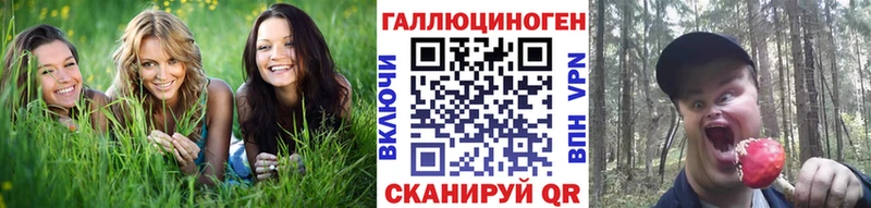 магазин    Курчалой  Галлюциногенные грибы Magic Shrooms 